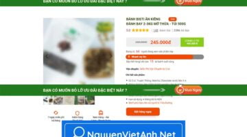 NVA0068 - Bánh mỳ giảm cân - DA082007