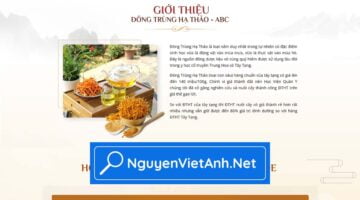 NVA0080 - Đông trùng hạ thảo H082005