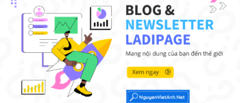 Blog & Newsletter ladipage